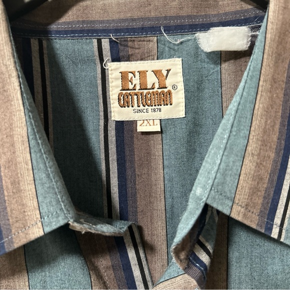 Ely Cattleman Teal and Brown Striped Pearl Snap Button-Down Shirt - Picture 2 of 4